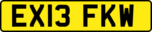 EX13FKW