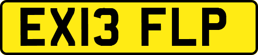 EX13FLP