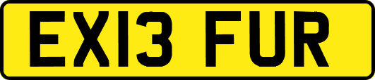 EX13FUR