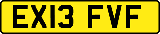 EX13FVF