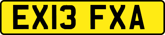 EX13FXA