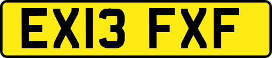 EX13FXF