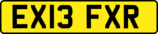 EX13FXR