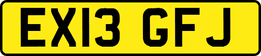EX13GFJ