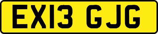 EX13GJG