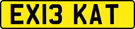 EX13KAT