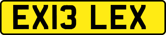 EX13LEX