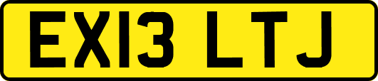 EX13LTJ