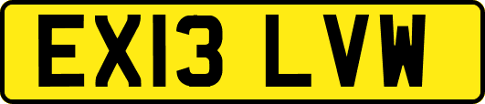 EX13LVW