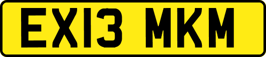 EX13MKM