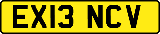 EX13NCV