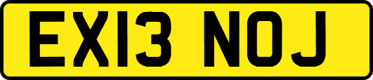 EX13NOJ