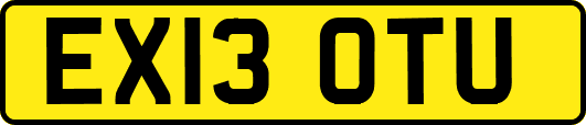 EX13OTU