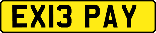 EX13PAY