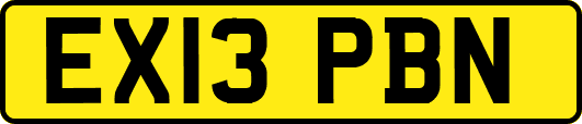 EX13PBN
