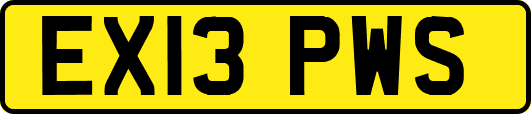 EX13PWS