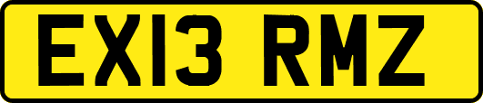 EX13RMZ