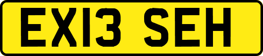EX13SEH