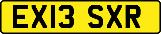 EX13SXR