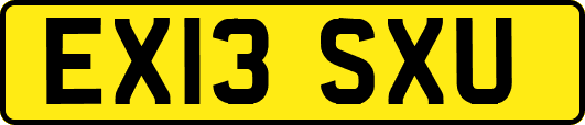 EX13SXU