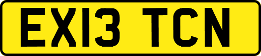 EX13TCN