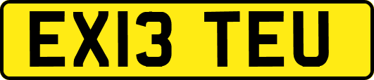 EX13TEU