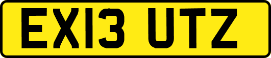 EX13UTZ