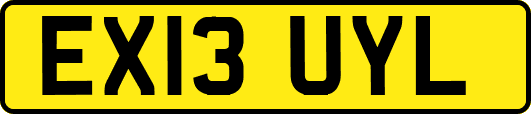 EX13UYL