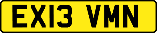 EX13VMN