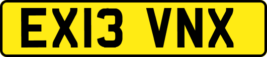 EX13VNX