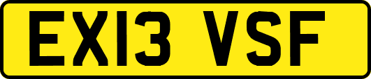 EX13VSF