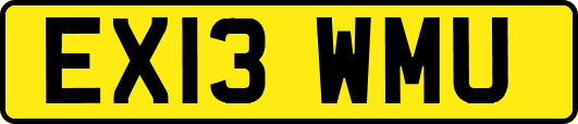 EX13WMU