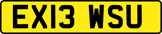 EX13WSU