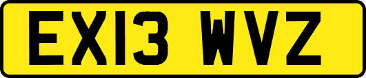 EX13WVZ