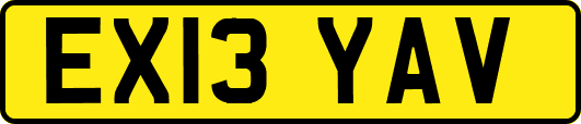 EX13YAV