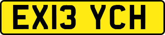 EX13YCH