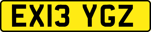 EX13YGZ