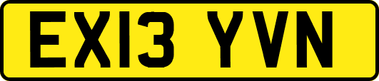 EX13YVN