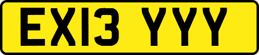 EX13YYY