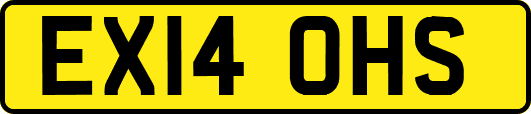 EX14OHS