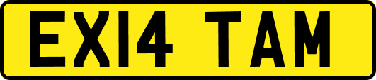 EX14TAM