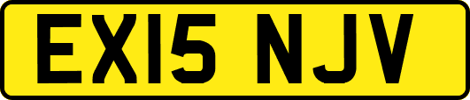 EX15NJV