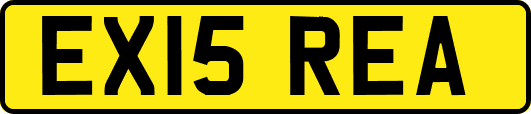 EX15REA