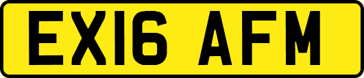 EX16AFM