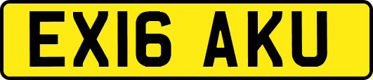 EX16AKU