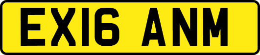 EX16ANM