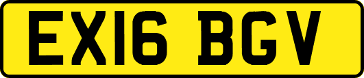 EX16BGV