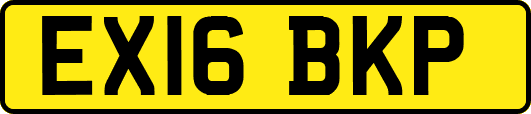 EX16BKP