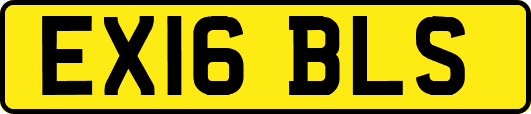 EX16BLS