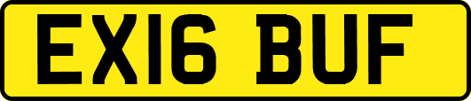 EX16BUF